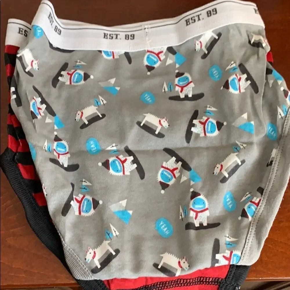 🎉1 hr sale 🎉 underwear bundle 2💙